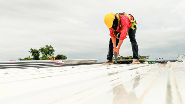 Best Roof Maintenance and Cleaning  in West Dennis, MA